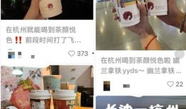奶茶最新爆料,揭秘网红奶茶背后的秘密与趋势