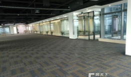 深圳办公楼爆料视频最新,揭秘职场生存真相